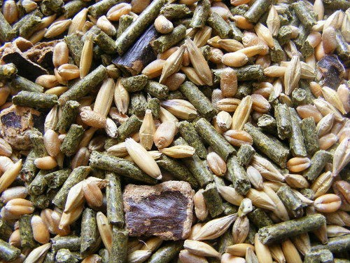 Kaninchenfutter hasenfutter - kaninchenfutter,