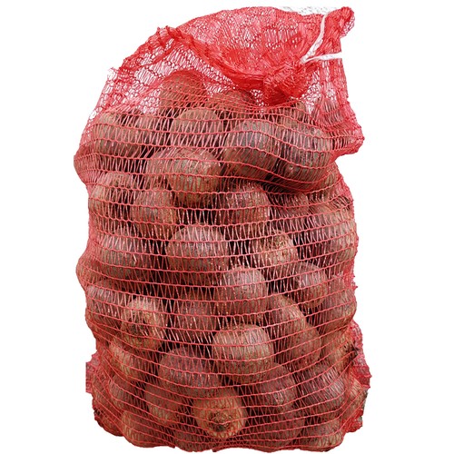 Rote bete knollen 15kg - bete,