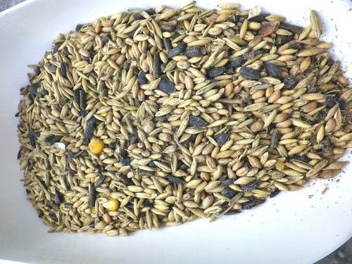Kaninchenfutter hasenfutter - kaninchenfutter,