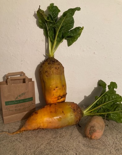 10kg futterrüben runkelrüben - futterrüben,